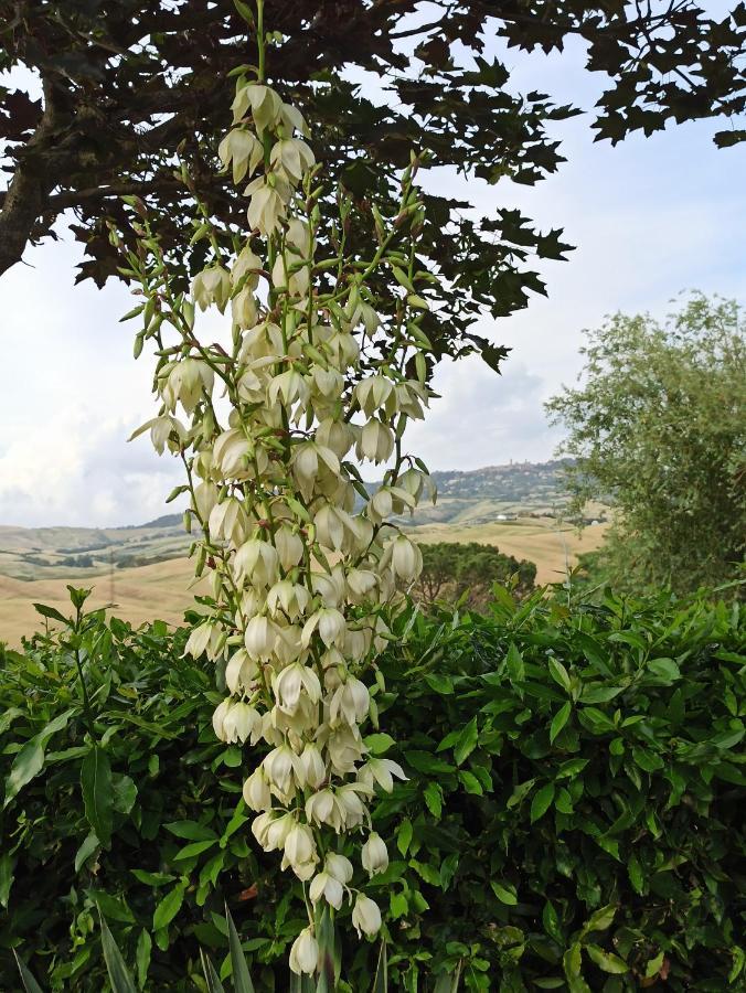 Agriturismo La Spiga Montecatini Val di Cecina Eksteriør billede